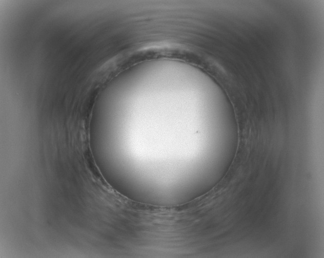 X0000082971062200702011136