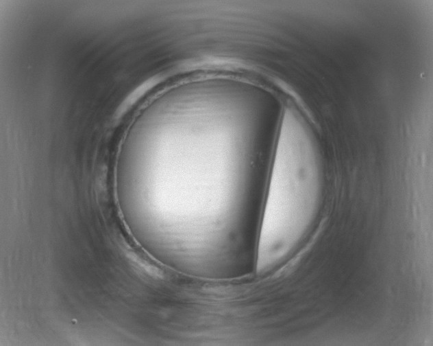 X0000082971066200702011136