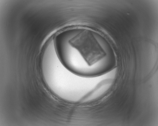 X0000082971069200702011136