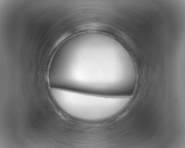 X0000082971073200702011136