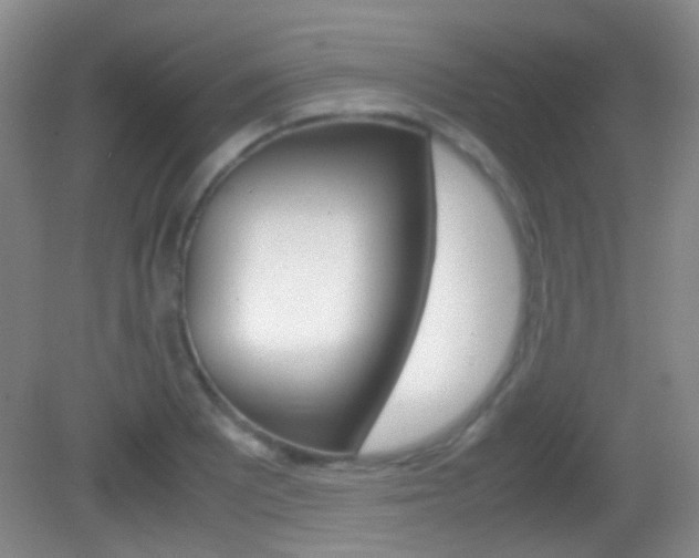 X0000082971081200702011136