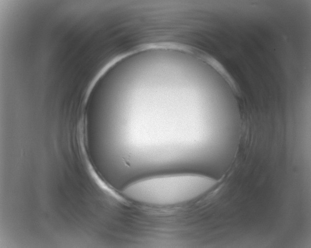 X0000082971100200702011136