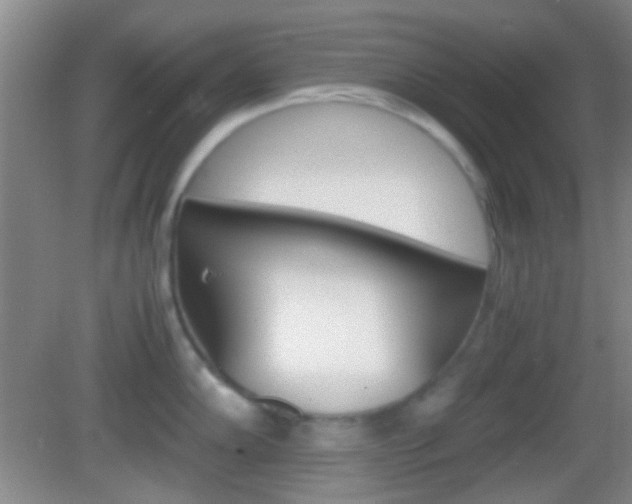 X0000082971102200702011136