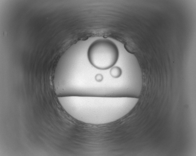 X0000082971106200702011135