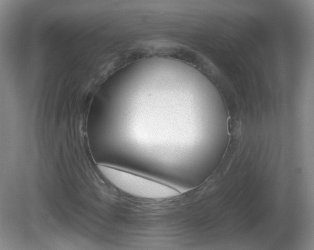 X0000082971108200702011135