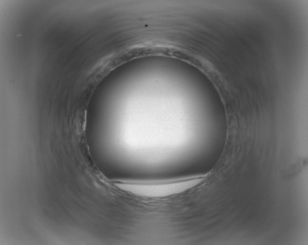 X0000082971110200702011135