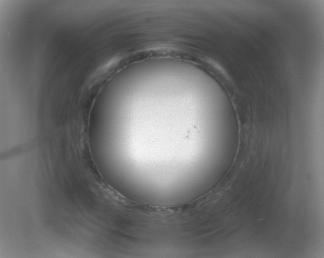 X0000082971111200702011135