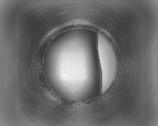 X0000082971112200702011135
