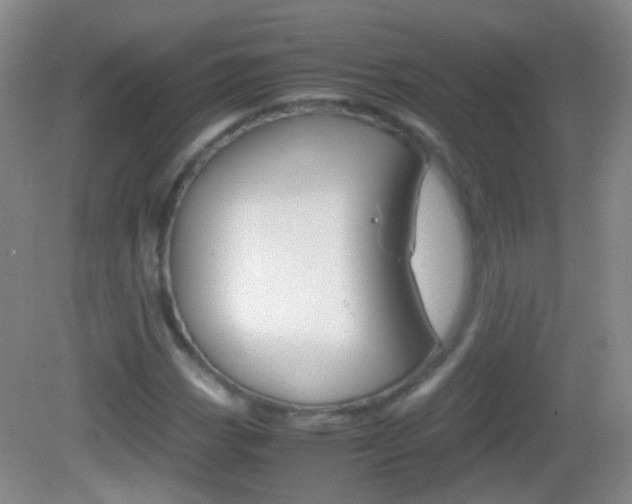 X0000082971113200702011135