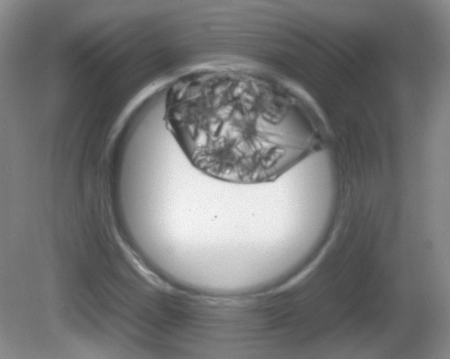 X0000082971114200702011135
