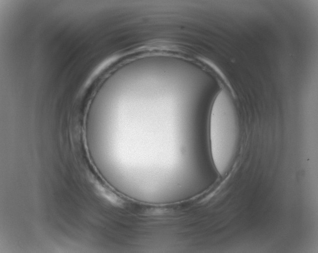 X0000082971115200702011135