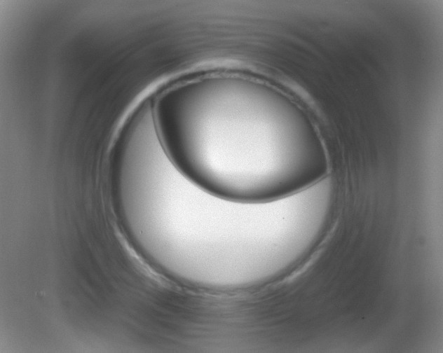 X0000082971118200702011135