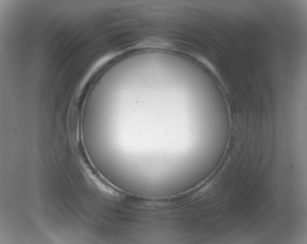 X0000082971123200702011135