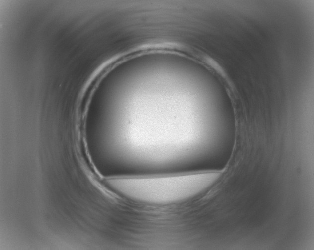 X0000082971124200702011135