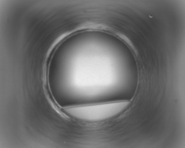 X0000082971128200702011135