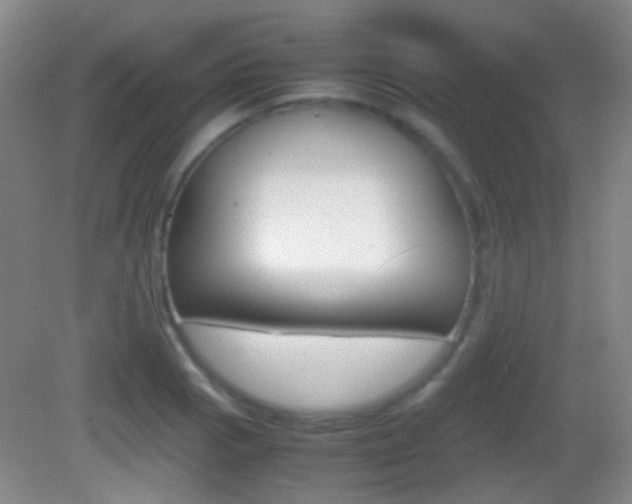 X0000082971129200702011135