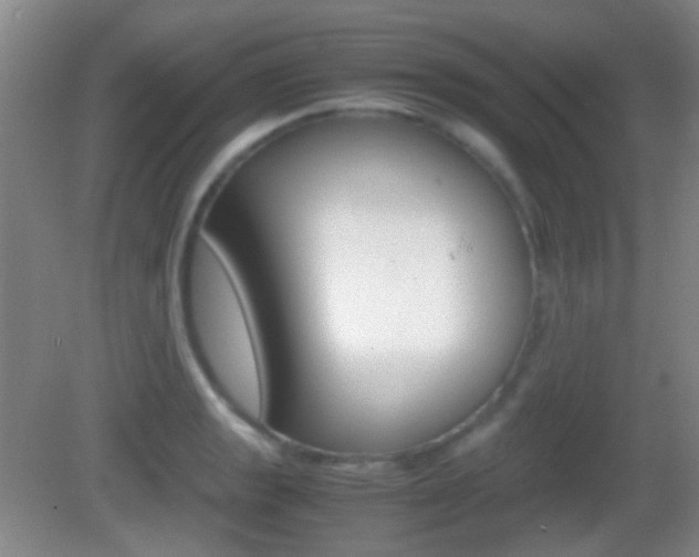 X0000082971133200702011135