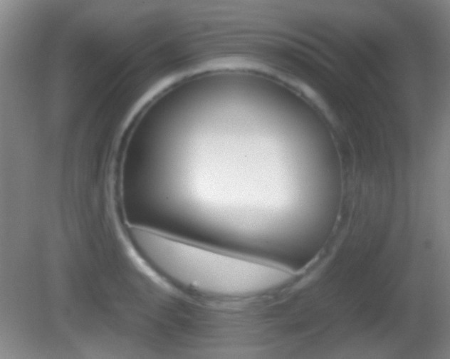 X0000082971134200702011135