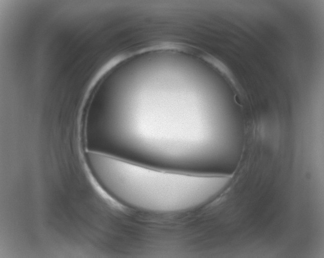 X0000082971135200702011135