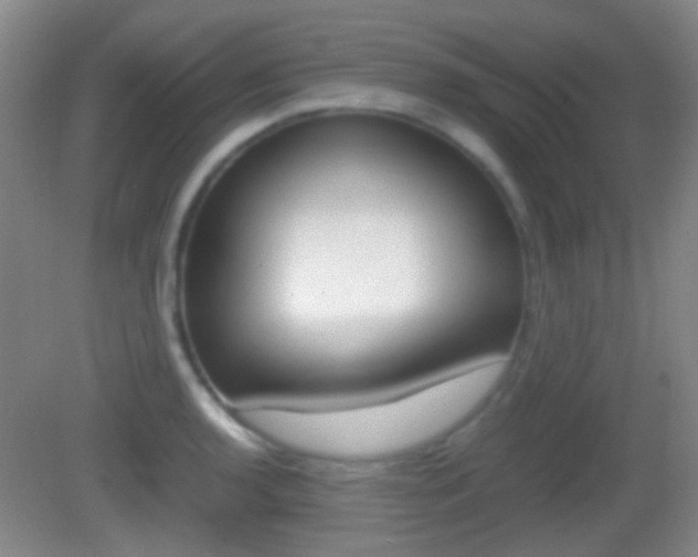 X0000082971136200702011135