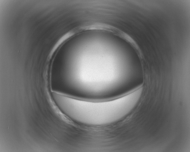X0000082971138200702011136