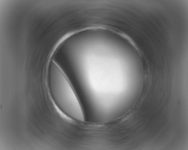 X0000082971143200702011136