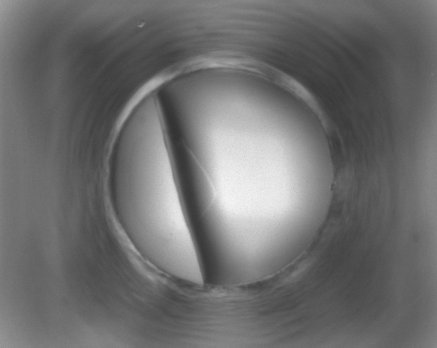 X0000082971146200702011136