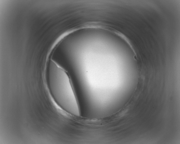 X0000082971147200702011136