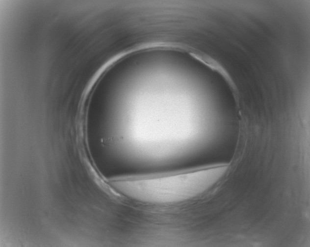 X0000082971148200702011136