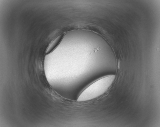 X0000082971155200702011135