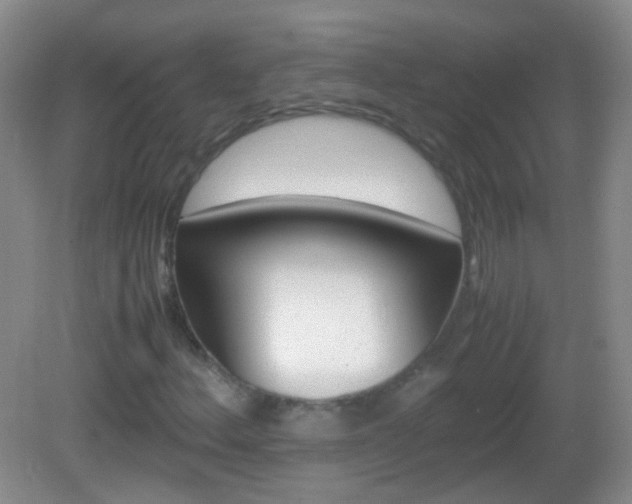 X0000082971156200702011135