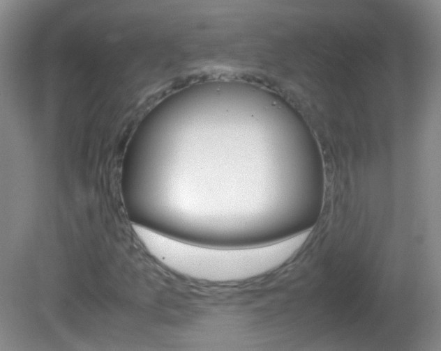 X0000082971157200702011135
