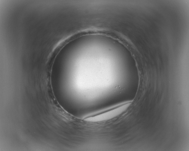 X0000082971160200702011135