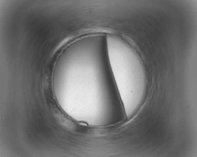 X0000082971163200702011135