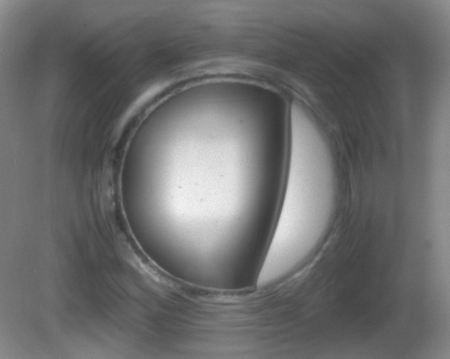 X0000082971164200702011135