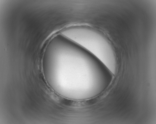 X0000082971165200702011135