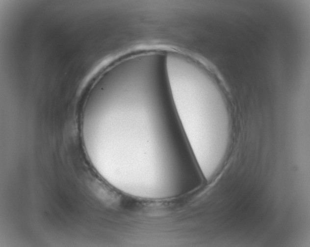 X0000082971167200702011135