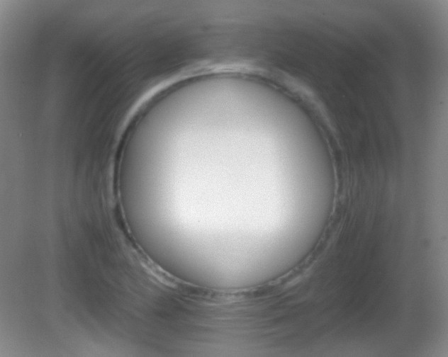 X0000082971174200702011135