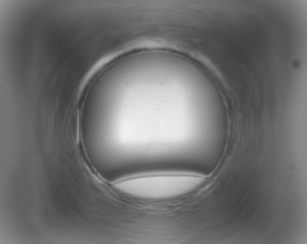 X0000082971175200702011135