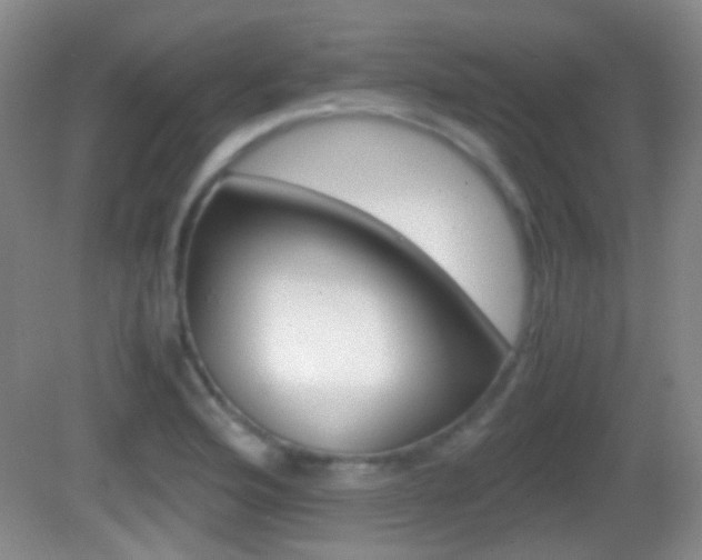 X0000082971176200702011135
