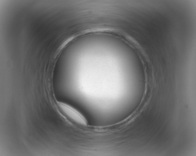 X0000082971177200702011135