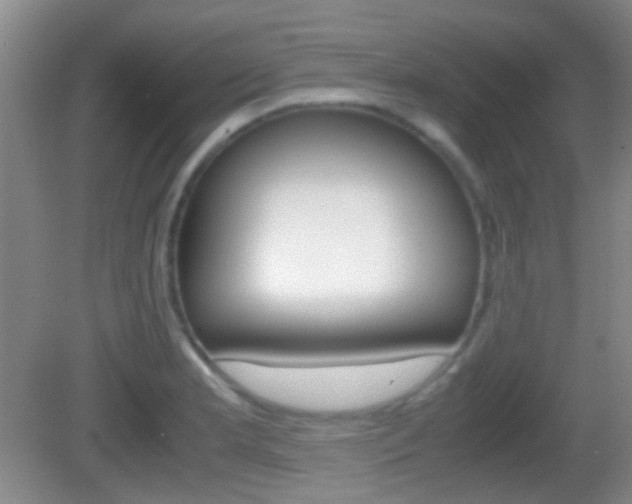 X0000082971181200702011134