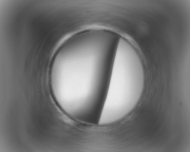 X0000082971183200702011134