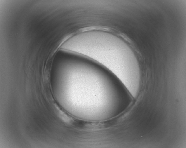 X0000082971185200702011134