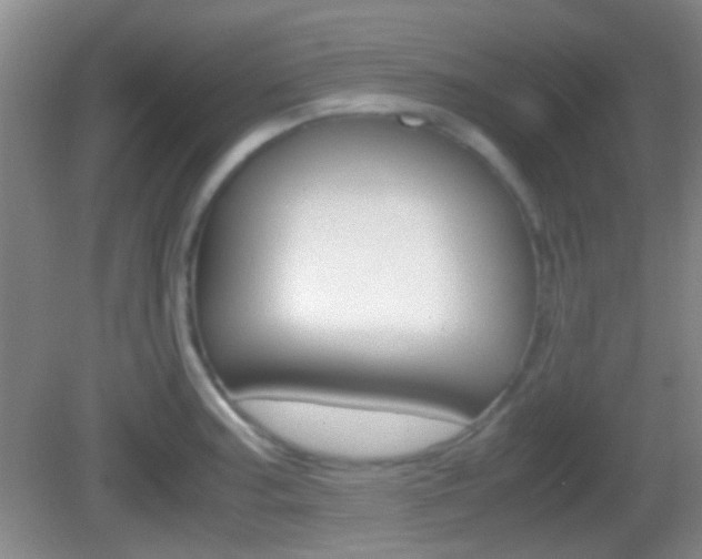 X0000082971187200702011134