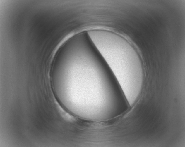 X0000082971189200702011134