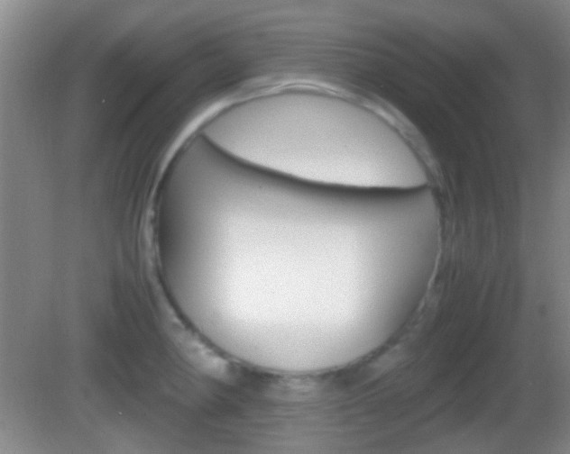 X0000082971190200702011134