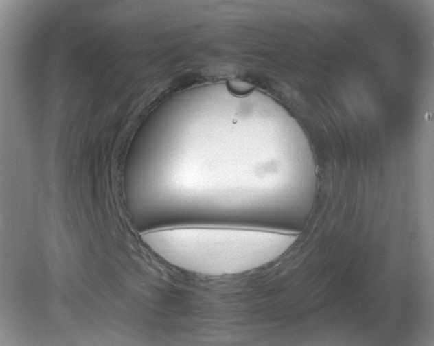X0000082971201200702011133