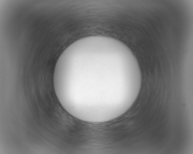 X0000082971202200702011133