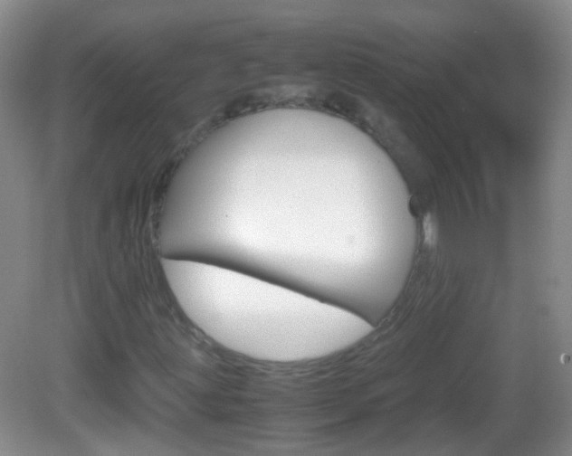 X0000082971203200702011133